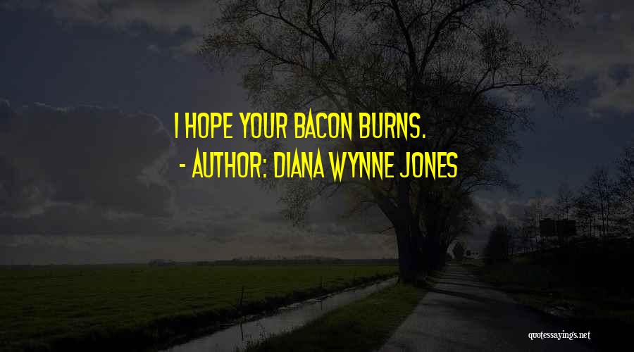 Diana Wynne Jones Quotes 1582502