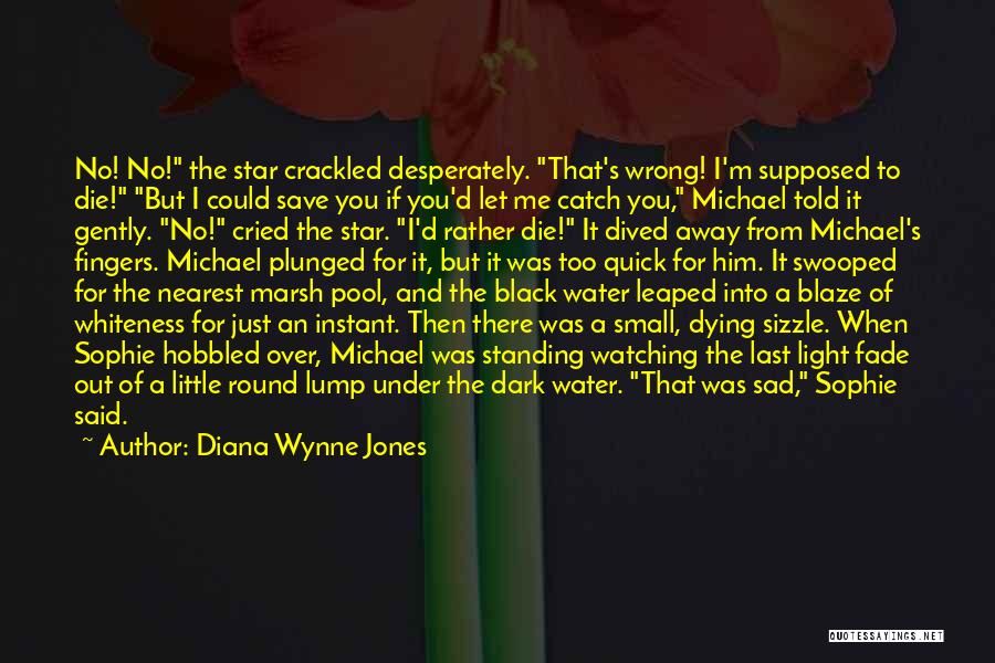 Diana Wynne Jones Quotes 2093212