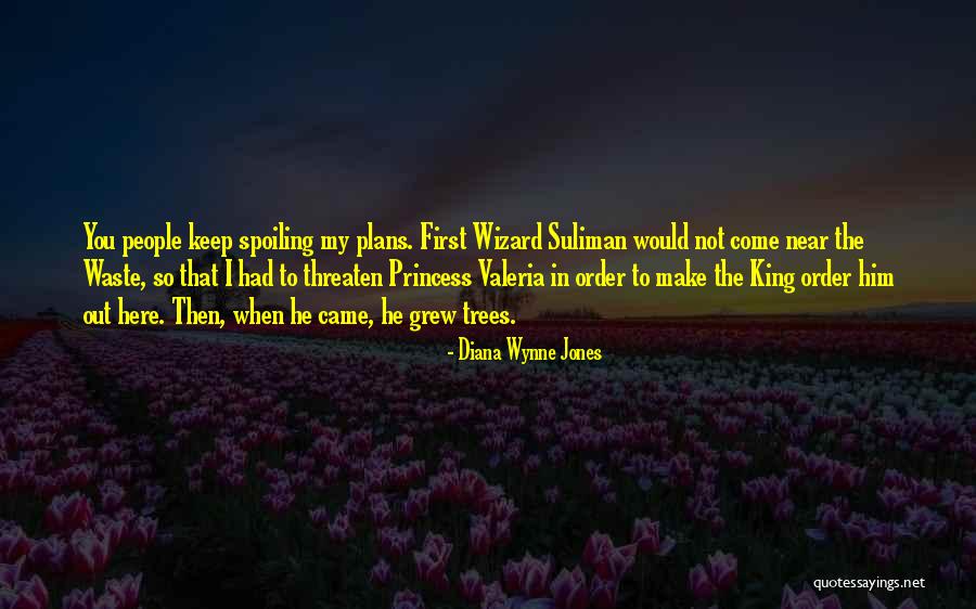 Diana Wynne Jones Quotes 308422