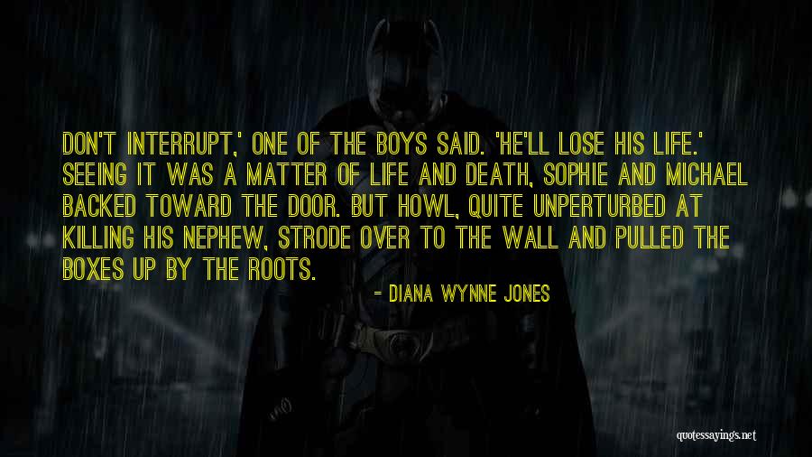 Diana Wynne Jones Quotes 482702