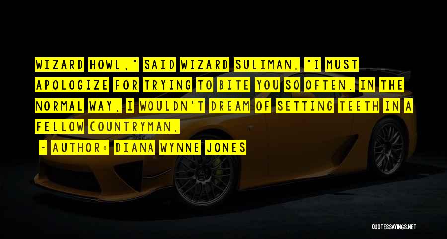 Diana Wynne Jones Quotes 905408