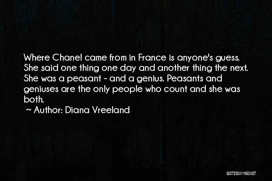 Diana's Quotes By Diana Vreeland