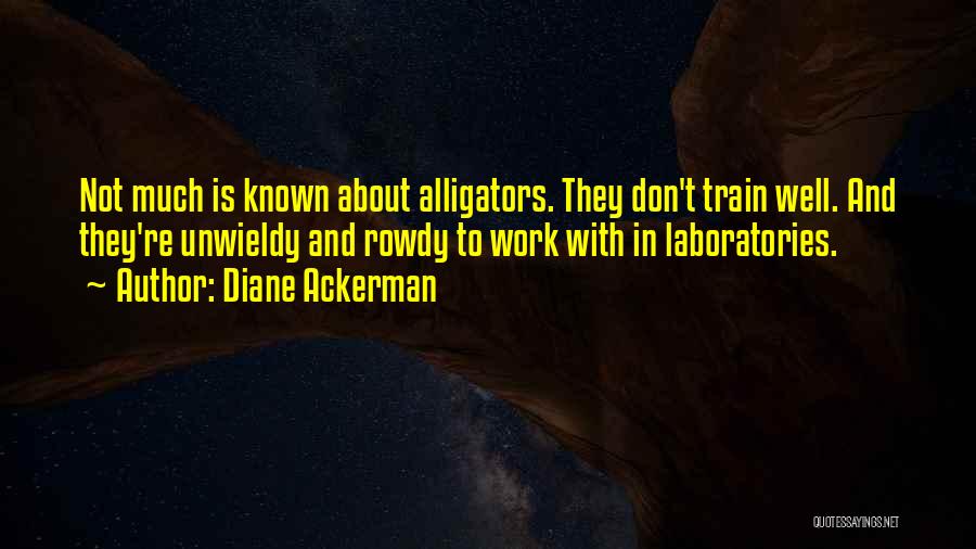 Diane Ackerman Quotes 1239883