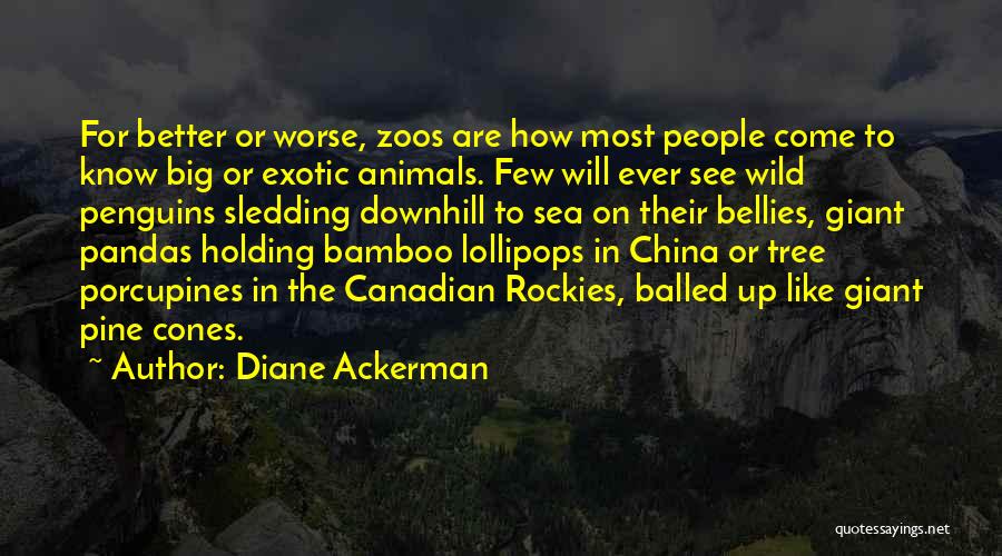 Diane Ackerman Quotes 1369133