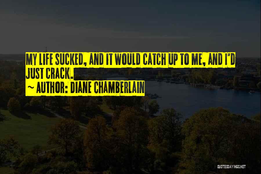 Diane Chamberlain Quotes 1357682