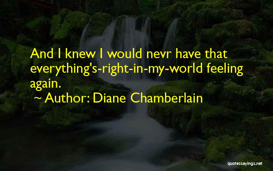 Diane Chamberlain Quotes 428684