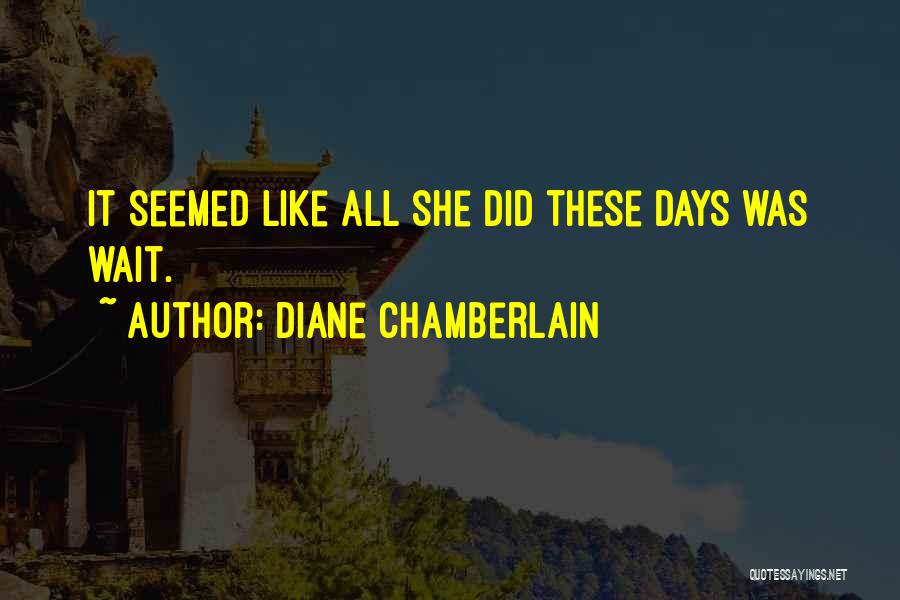 Diane Chamberlain Quotes 676148