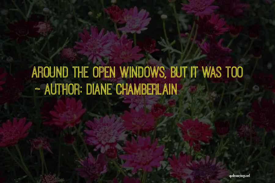 Diane Chamberlain Quotes 875022