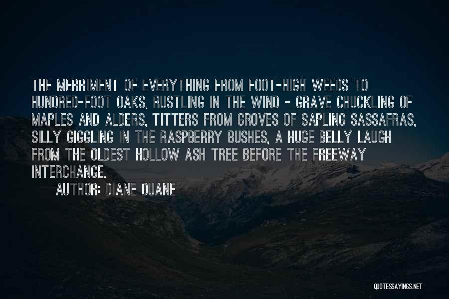 Diane Duane Quotes 1450289