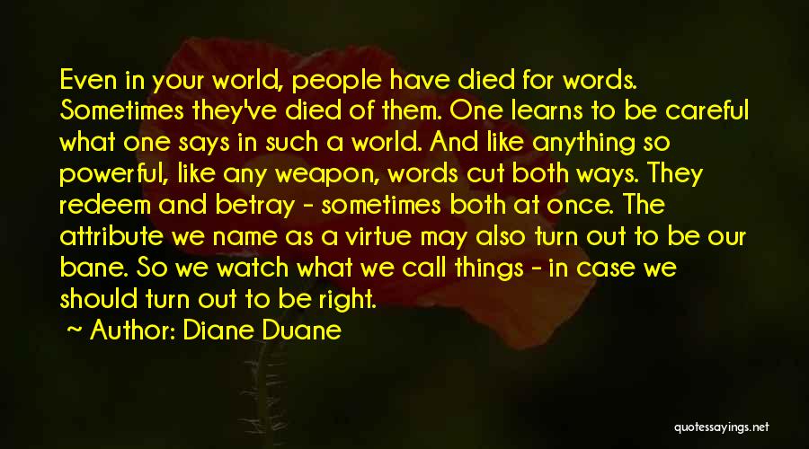 Diane Duane Quotes 1627664