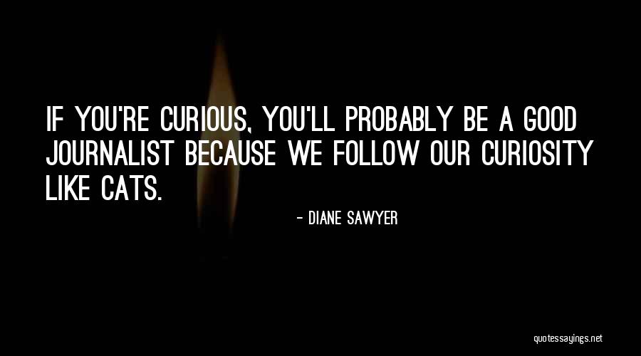 Diane Sawyer Quotes 715041