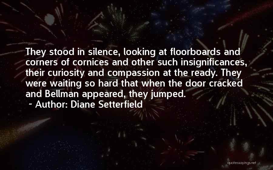 Diane Setterfield Quotes 1052314