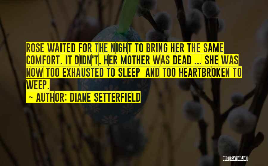 Diane Setterfield Quotes 1105621