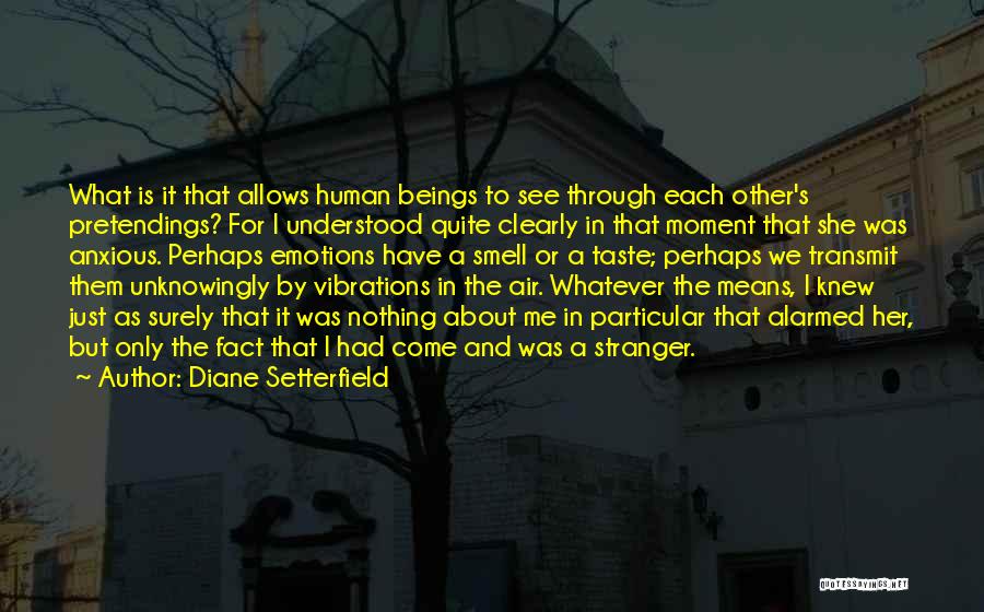 Diane Setterfield Quotes 1110839