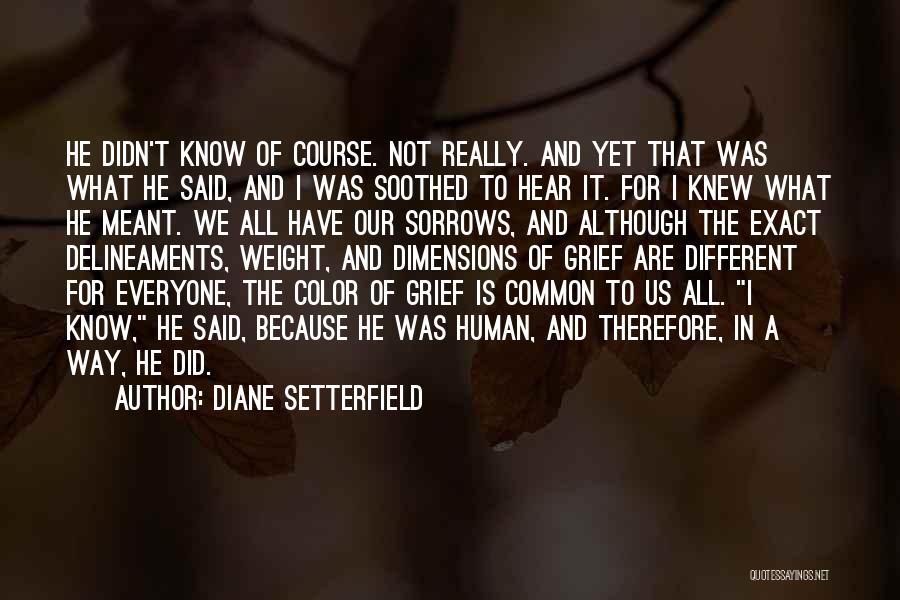 Diane Setterfield Quotes 1183600