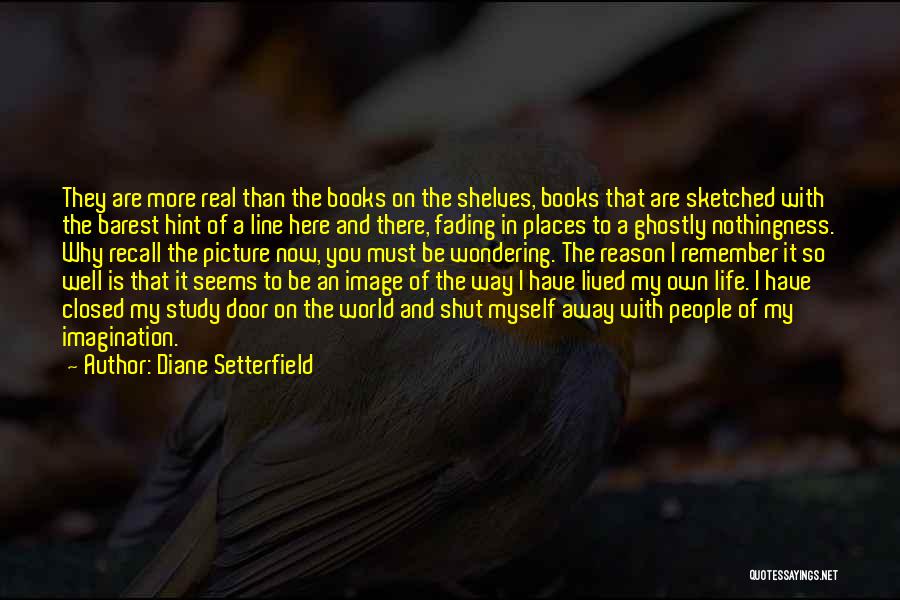 Diane Setterfield Quotes 1407953