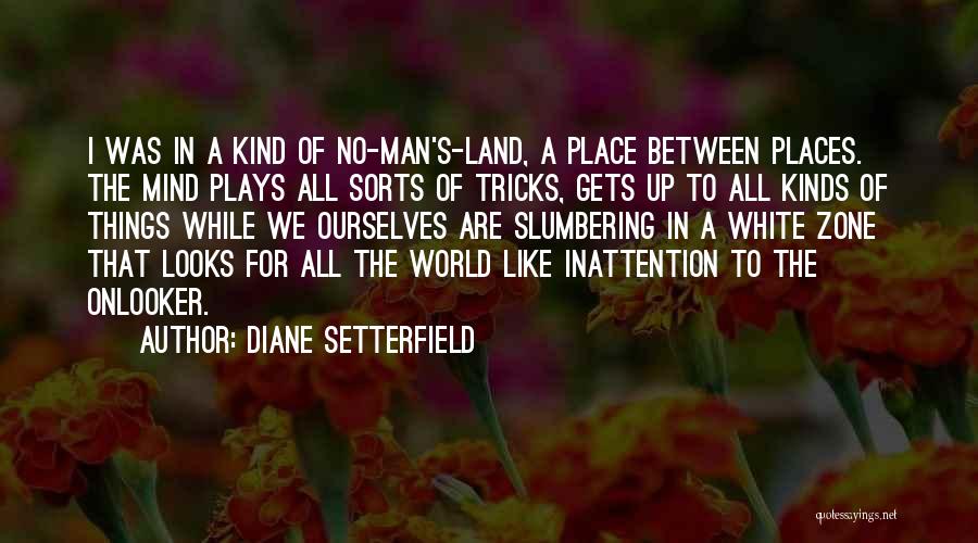 Diane Setterfield Quotes 1412736