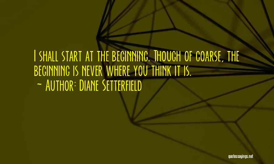 Diane Setterfield Quotes 1646209