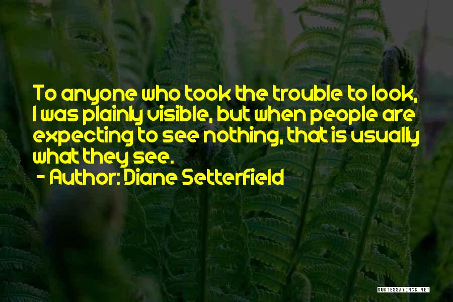 Diane Setterfield Quotes 168637