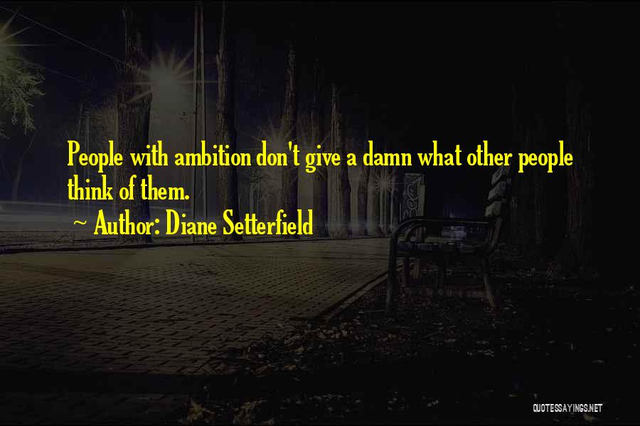 Diane Setterfield Quotes 1904137