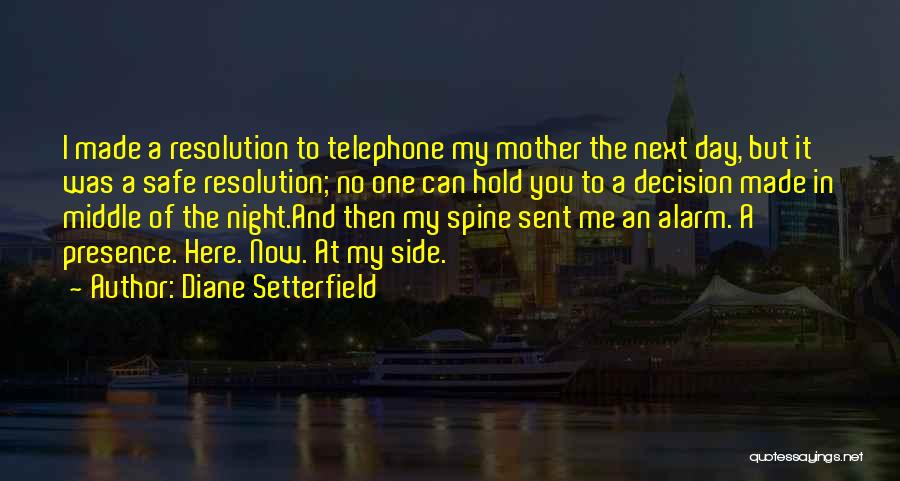 Diane Setterfield Quotes 2010111