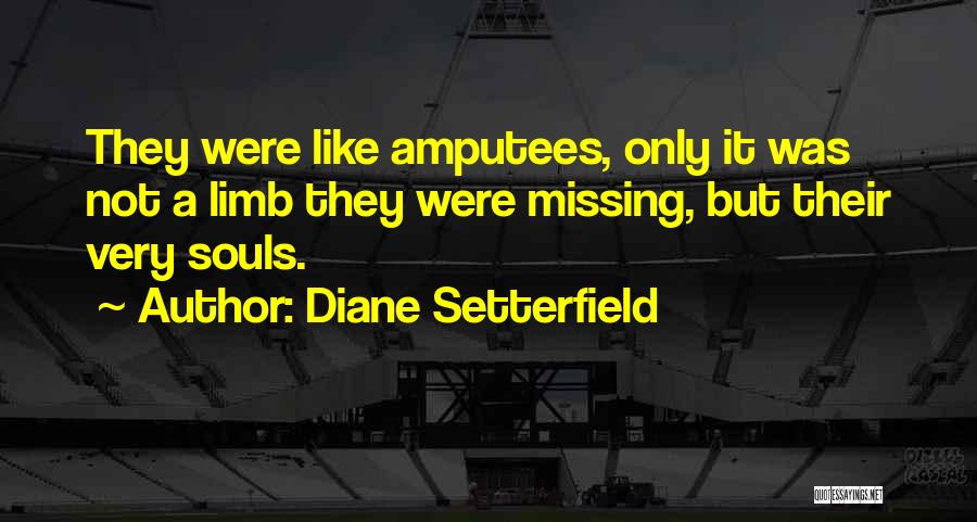 Diane Setterfield Quotes 2219303