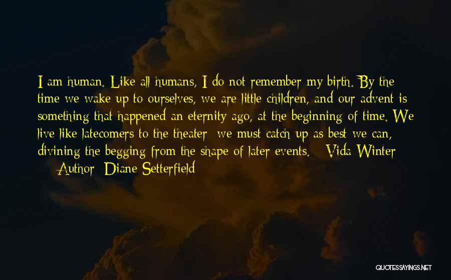Diane Setterfield Quotes 2233003
