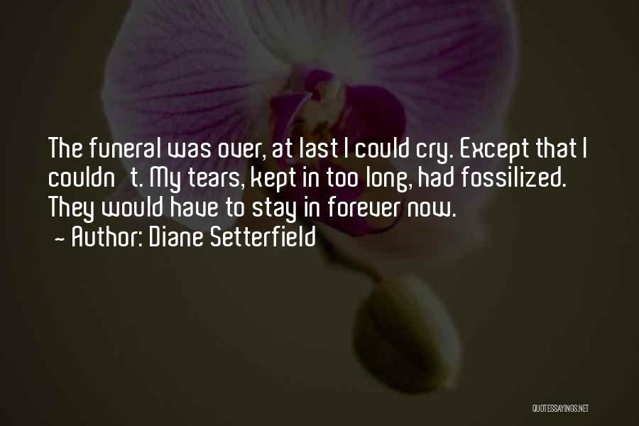 Diane Setterfield Quotes 439922