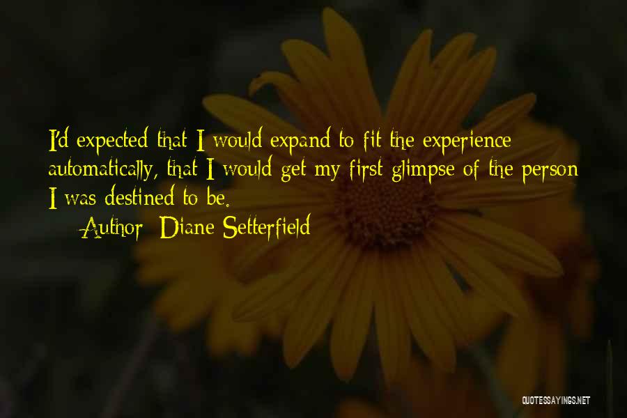 Diane Setterfield Quotes 596171