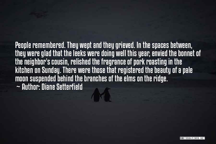 Diane Setterfield Quotes 626034