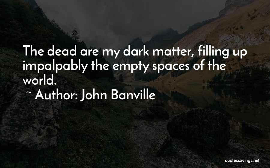 Dianka Jagran Quotes By John Banville