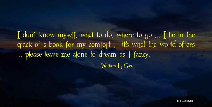 Diaphanousness Quotes By William H Gass Diaphanousness Quotes By William H Gass