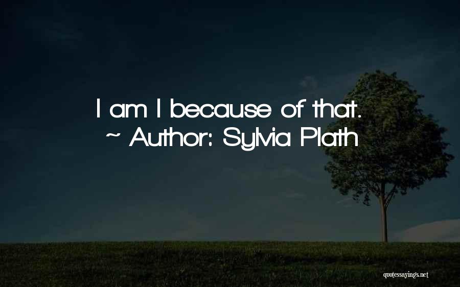 Diaries And Journals Quotes By Sylvia Plath