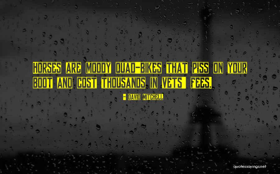 Diarist Quotes By David Mitchell Diarist Quotes By David Mitchell