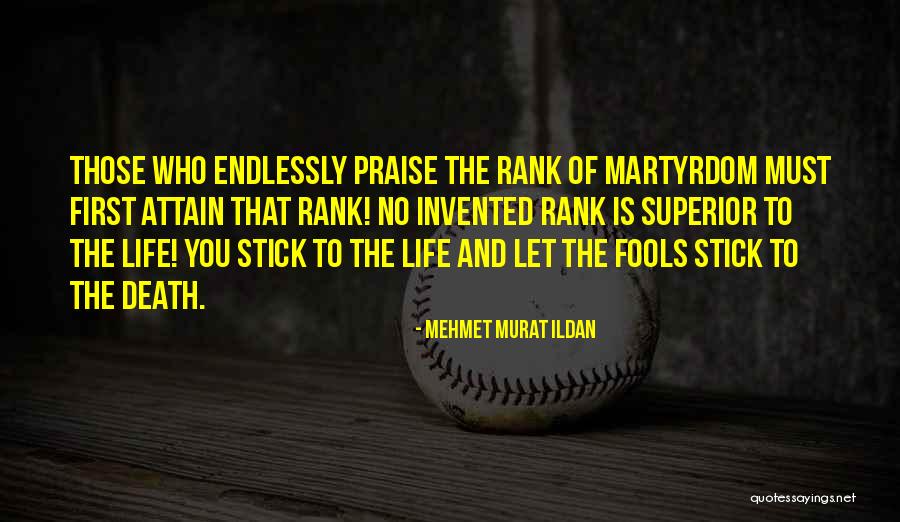 Diarmid Mogg Quotes By Mehmet Murat Ildan Diarmid Mogg Quotes By Mehmet Murat Ildan
