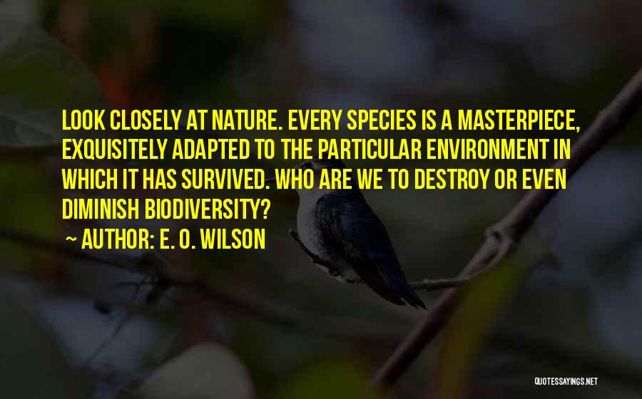 Diarrhoea Quotes By E. O. Wilson