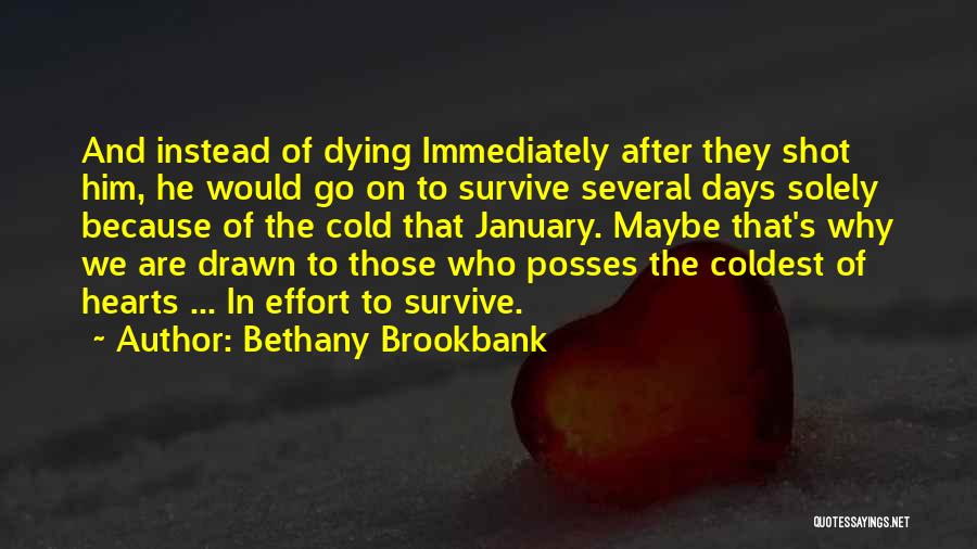 Diary Entry Quotes By Bethany Brookbank