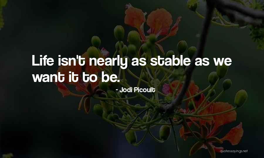 Diary Of Frida Quotes By Jodi Picoult