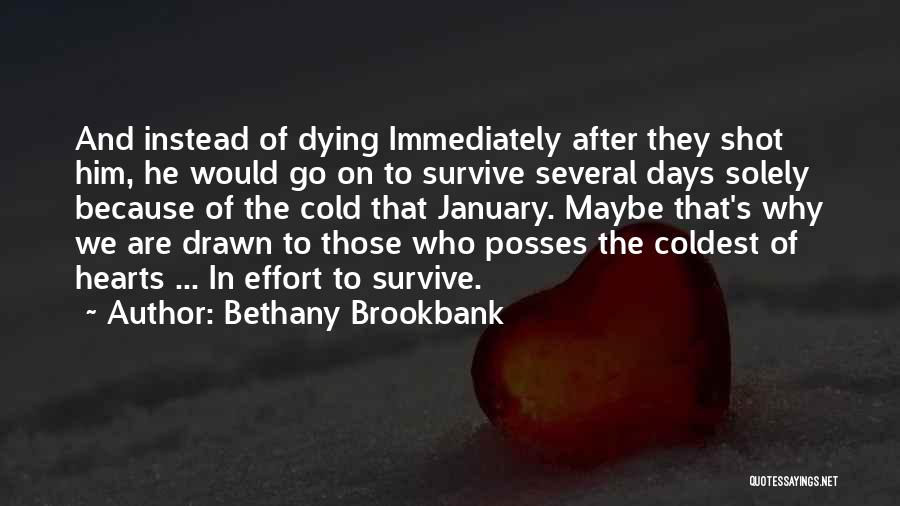 Diary Writing Quotes By Bethany Brookbank