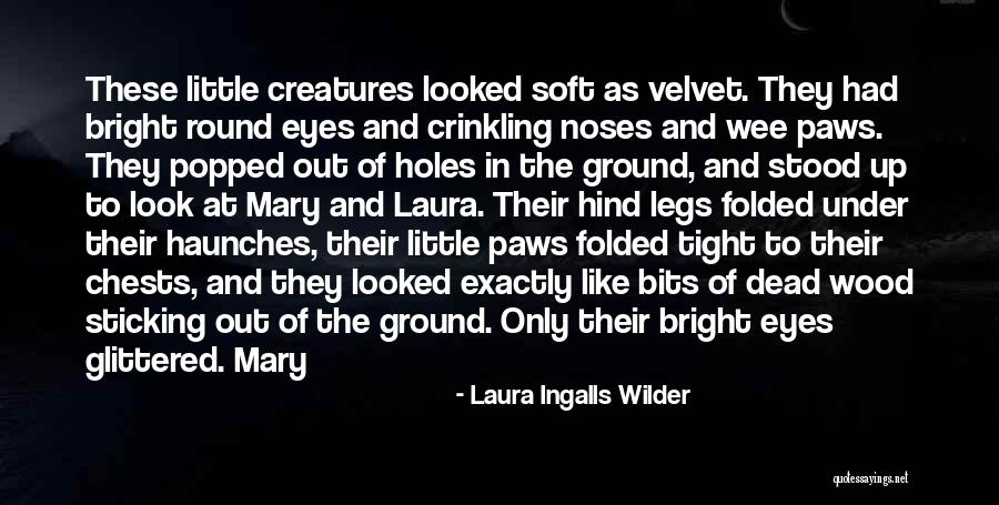 Diatex Quotes By Laura Ingalls Wilder Diatex Quotes By Laura Ingalls Wilder