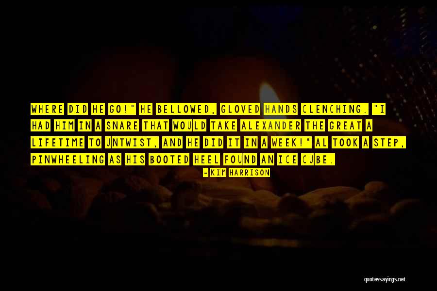 Diavolo Quotes By Kim Harrison Diavolo Quotes By Kim Harrison