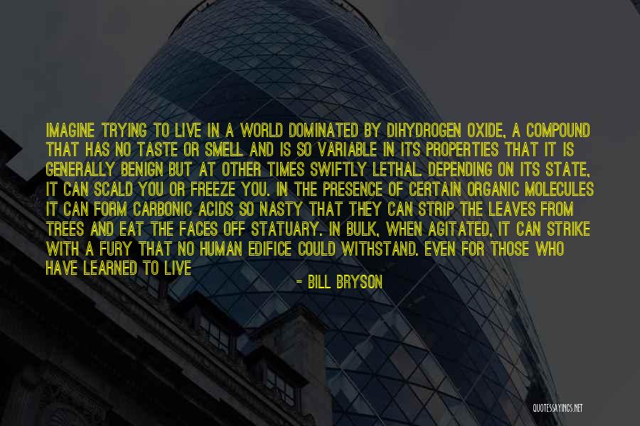 Diavolo Veste Prada Quotes By Bill Bryson Diavolo Veste Prada Quotes By Bill Bryson