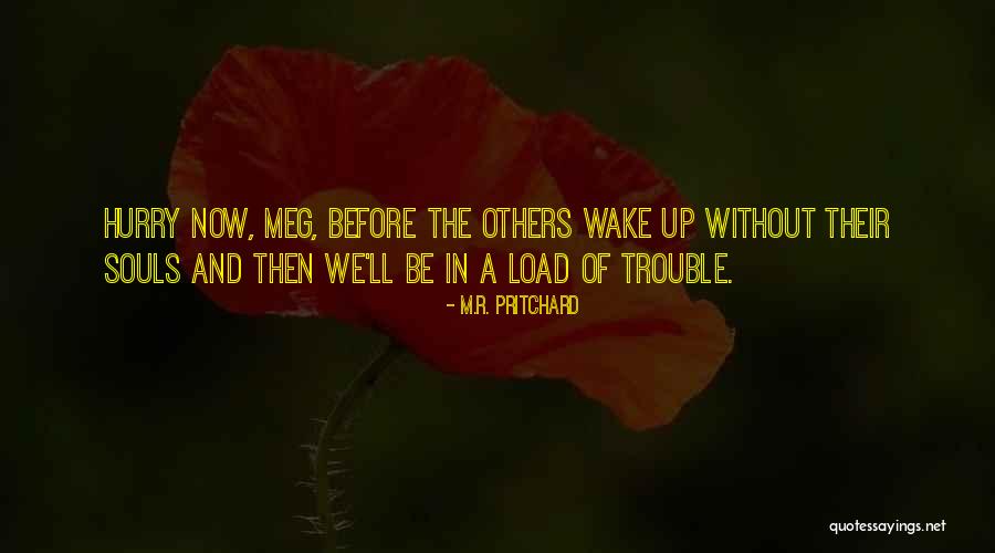 Diba Boots Quotes By M.R. Pritchard Diba Boots Quotes By M.R. Pritchard