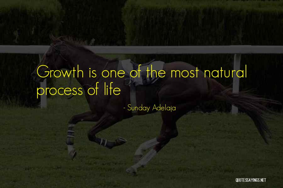 Diba Boots Quotes By Sunday Adelaja Diba Boots Quotes By Sunday Adelaja