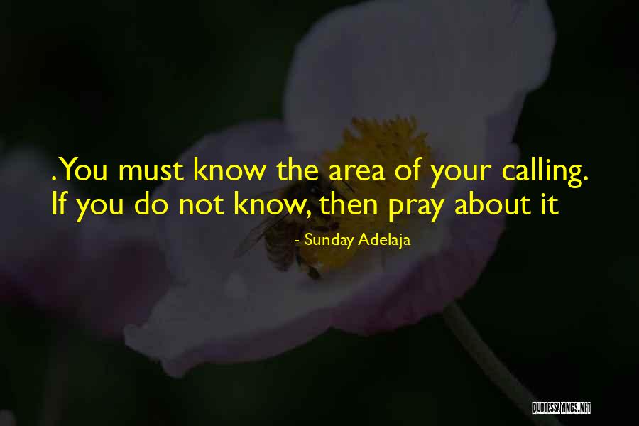 Dibaji Ni Quotes By Sunday Adelaja Dibaji Ni Quotes By Sunday Adelaja