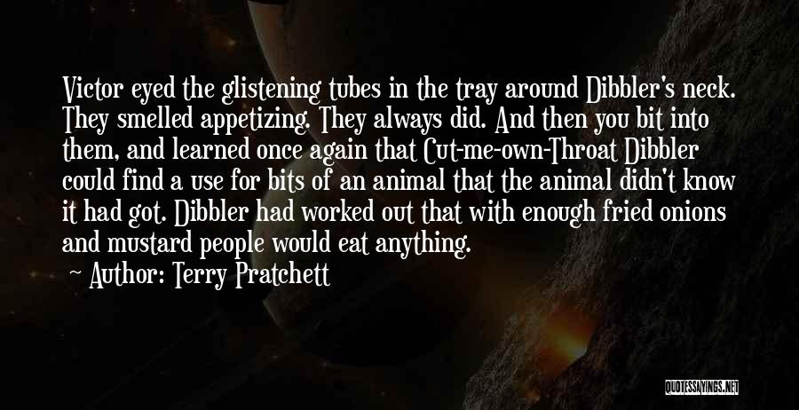 Dibbler Quotes By Terry Pratchett