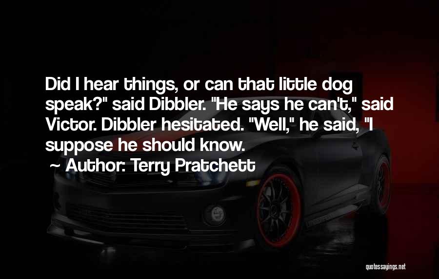 Dibbler Quotes By Terry Pratchett