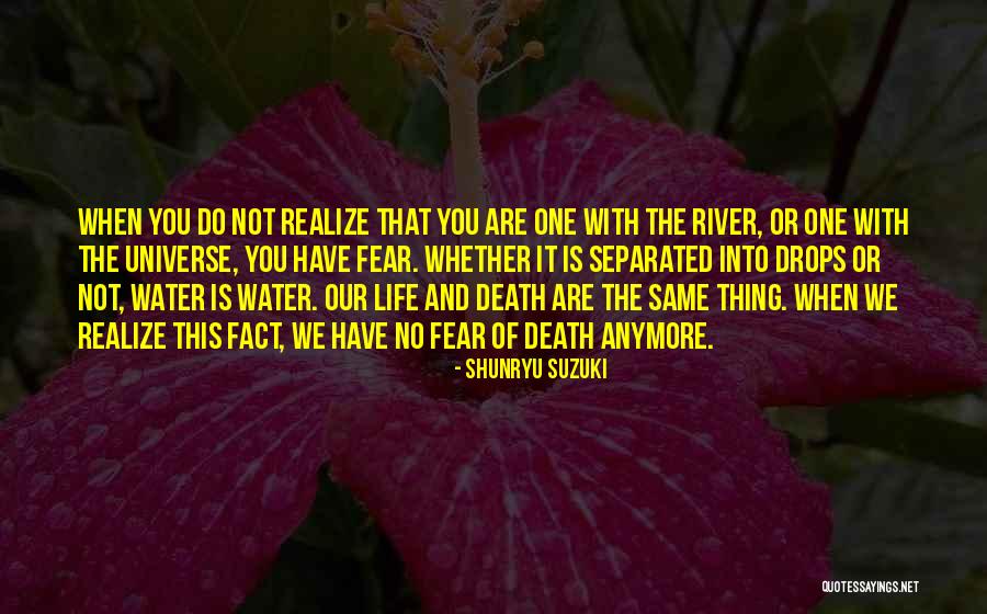 Dibdibin Quotes By Shunryu Suzuki Dibdibin Quotes By Shunryu Suzuki
