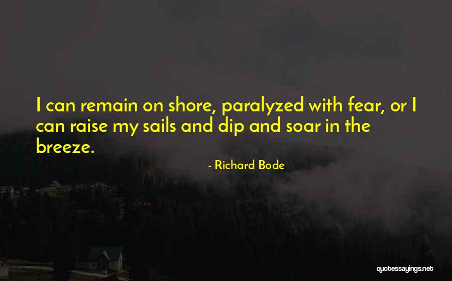 Diblassios Quotes By Richard Bode Diblassios Quotes By Richard Bode