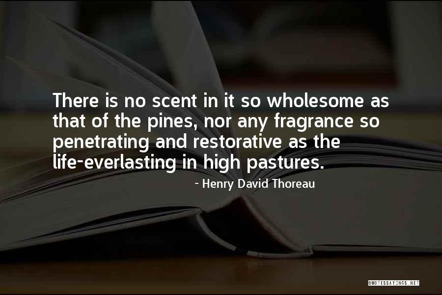 Dibujando Vani Quotes By Henry David Thoreau Dibujando Vani Quotes By Henry David Thoreau